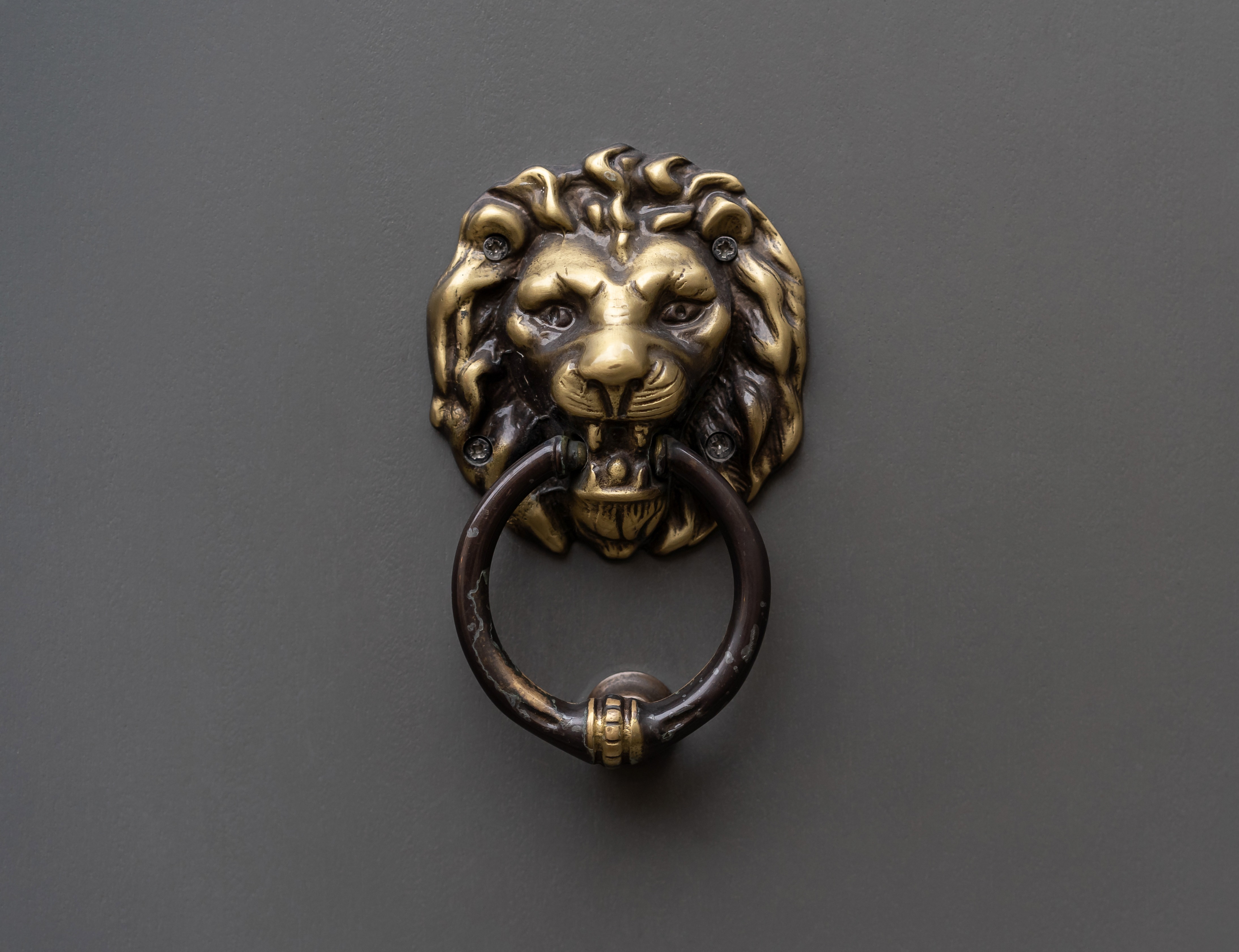 AdobeStock_641280177-1